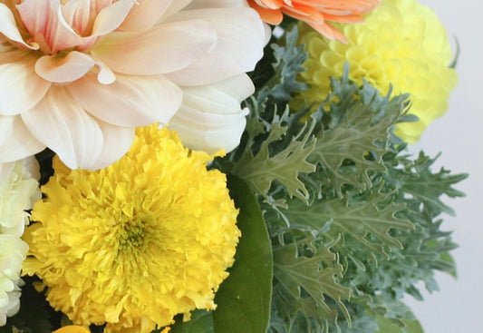 Marigold and Cosmos - October Birth Flowers