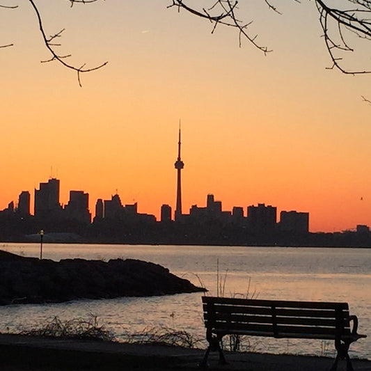 Springing Forward with Daylight Saving and What This Means for Your Plants
