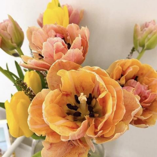 Crazy Flower Times - Part 1, Tulip Mania