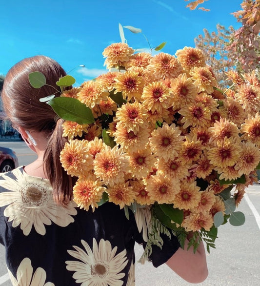 Chrysanthemums - The Flowers for November
