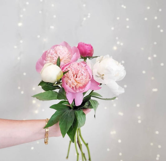 Fresh cut peonies