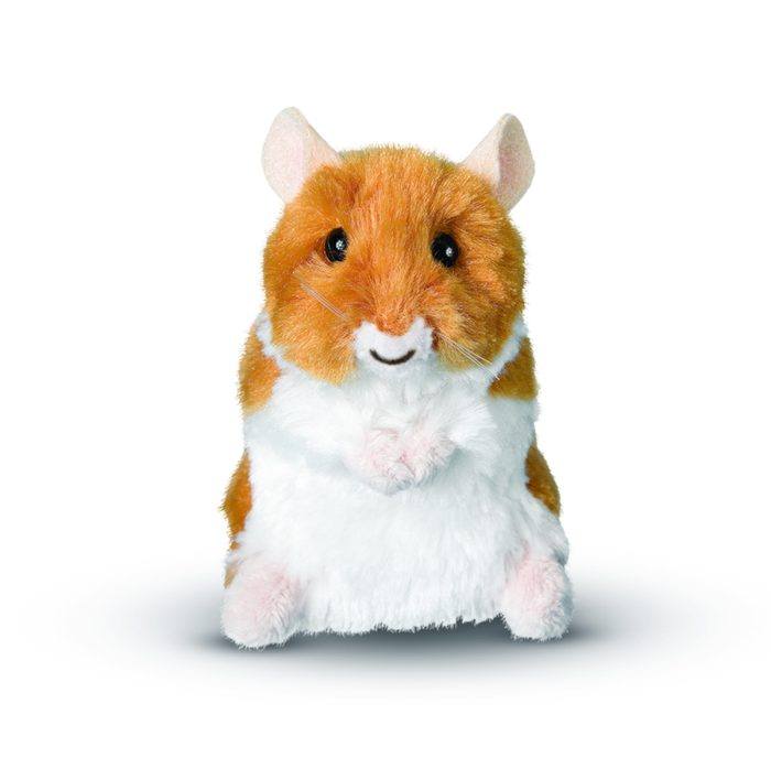 Brushy the Mini Hamster
