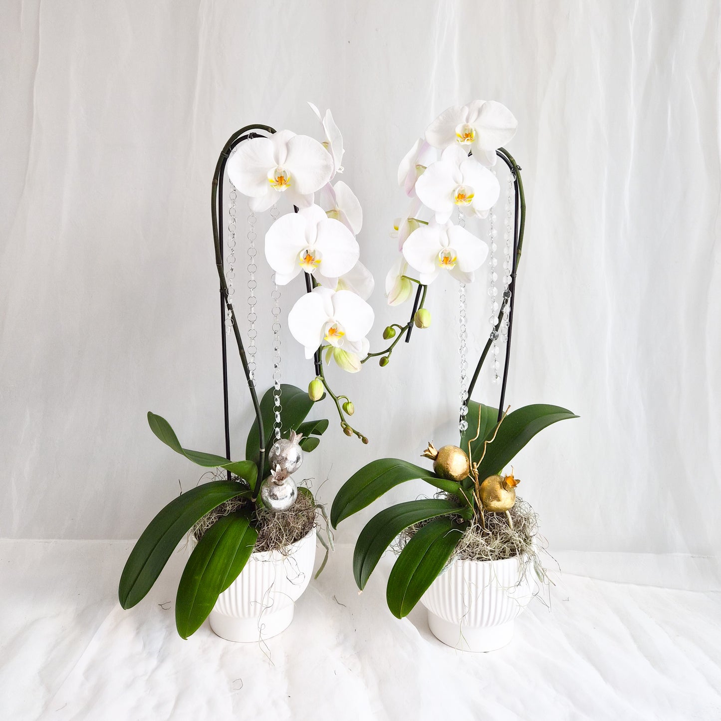 Crystal Cascade Single Stem Orchid