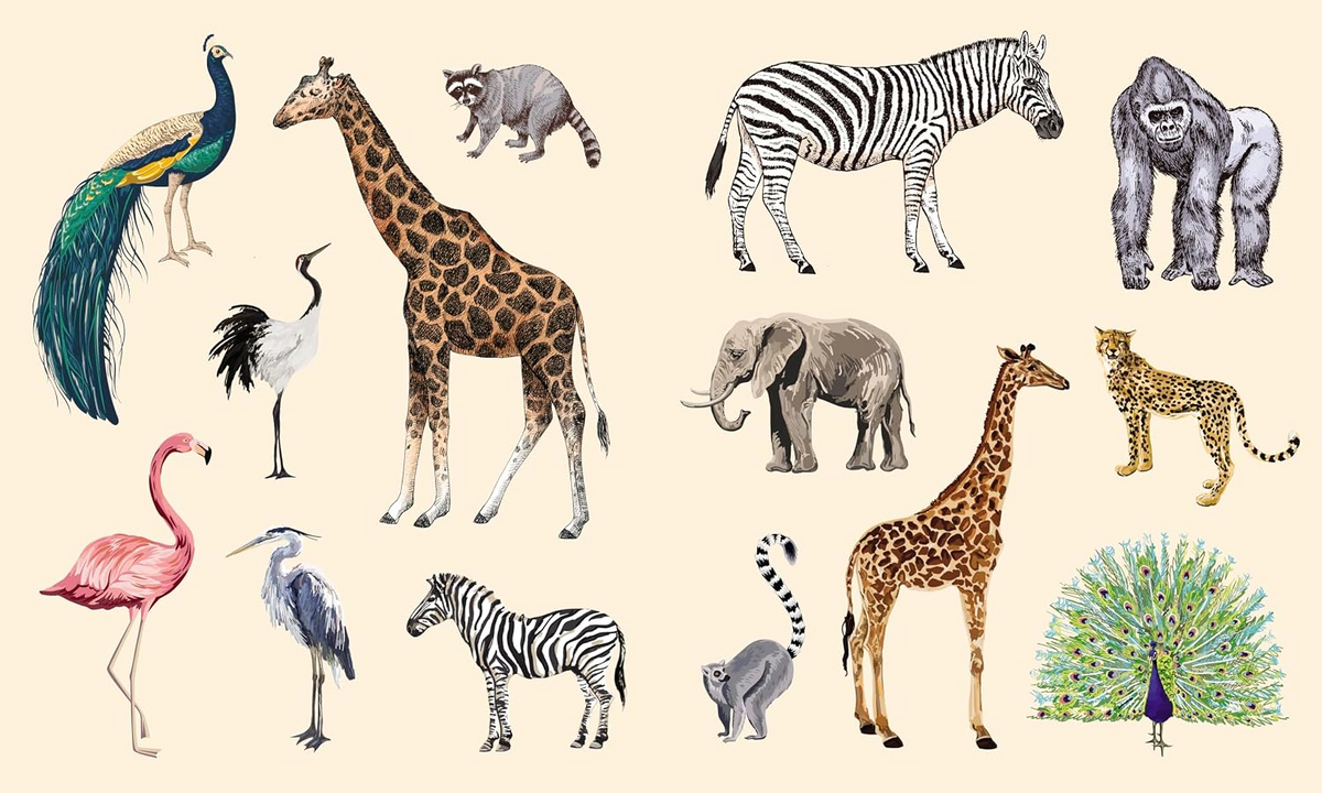 Sticker Studio: Menagerie