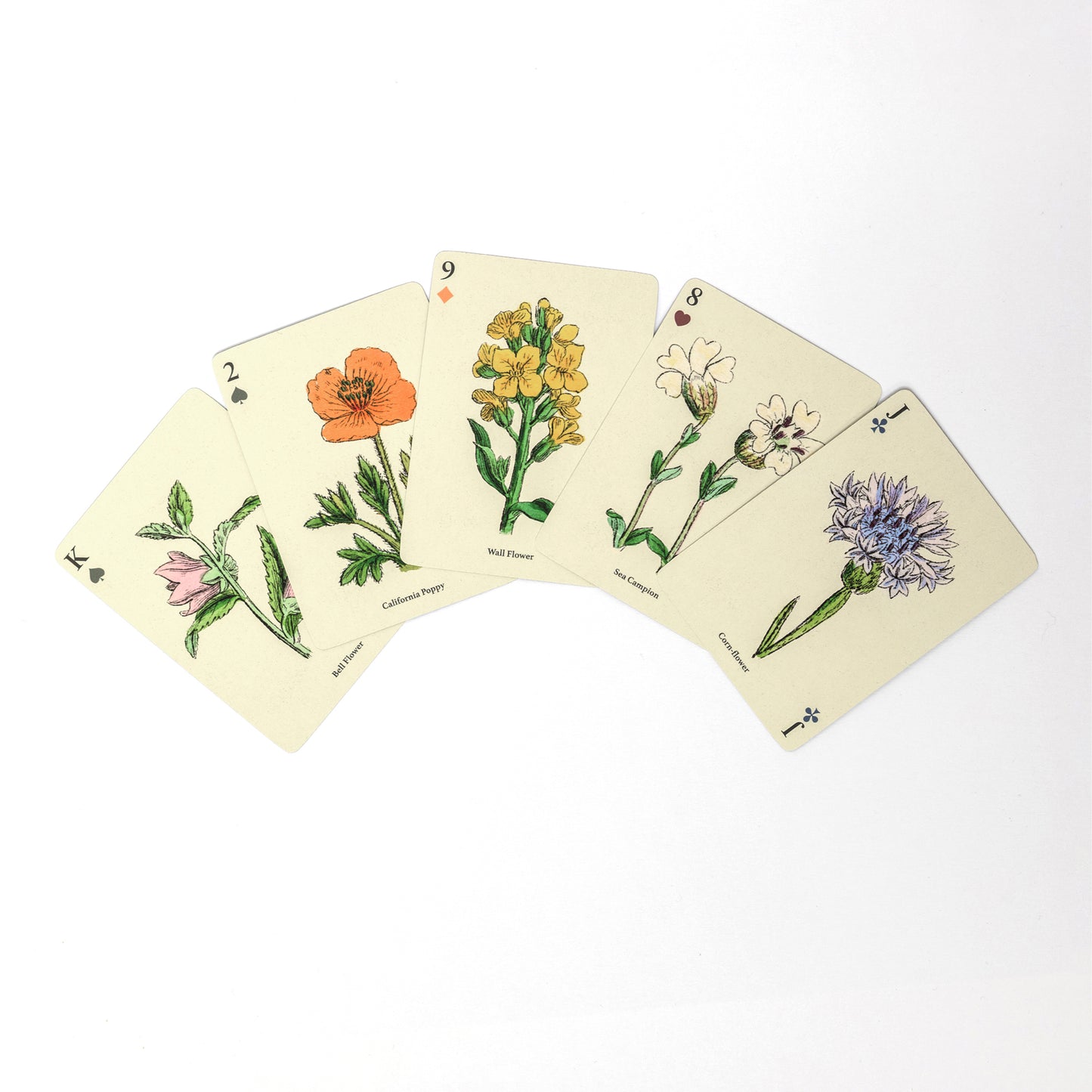 Play Card Deck - Wildflowers