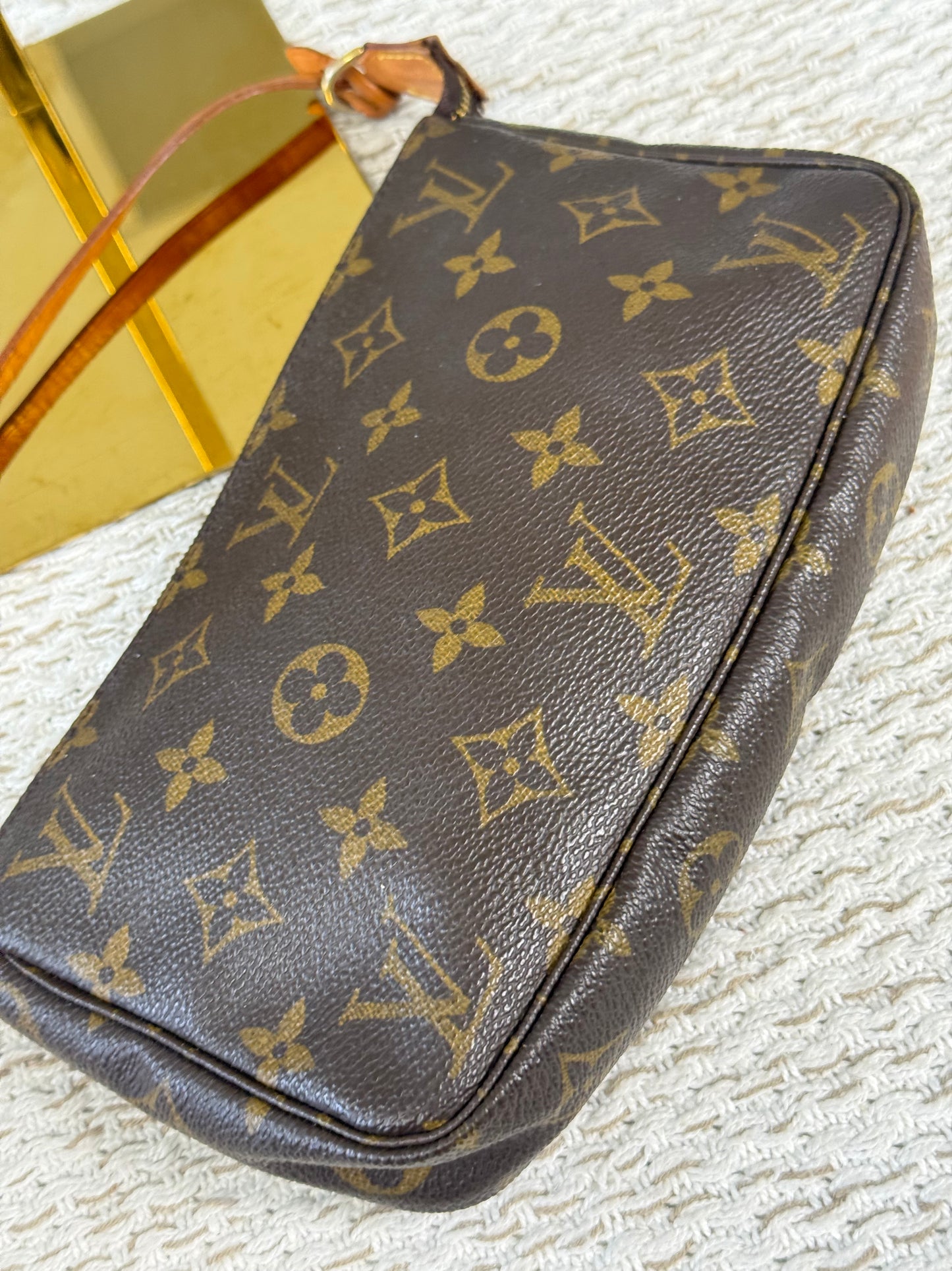 Ardisia Shrub in Cream Glazed Pot