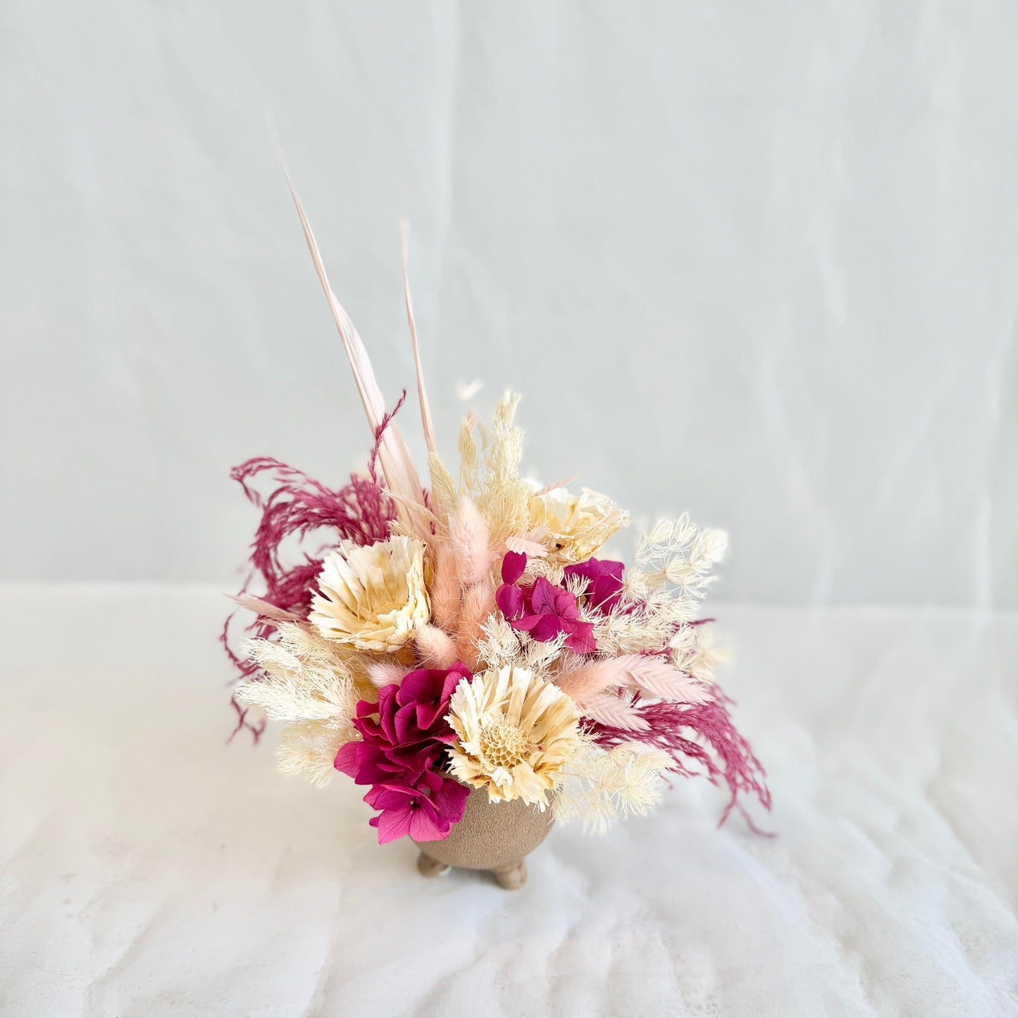 Mini Dried - Delightful Daisies