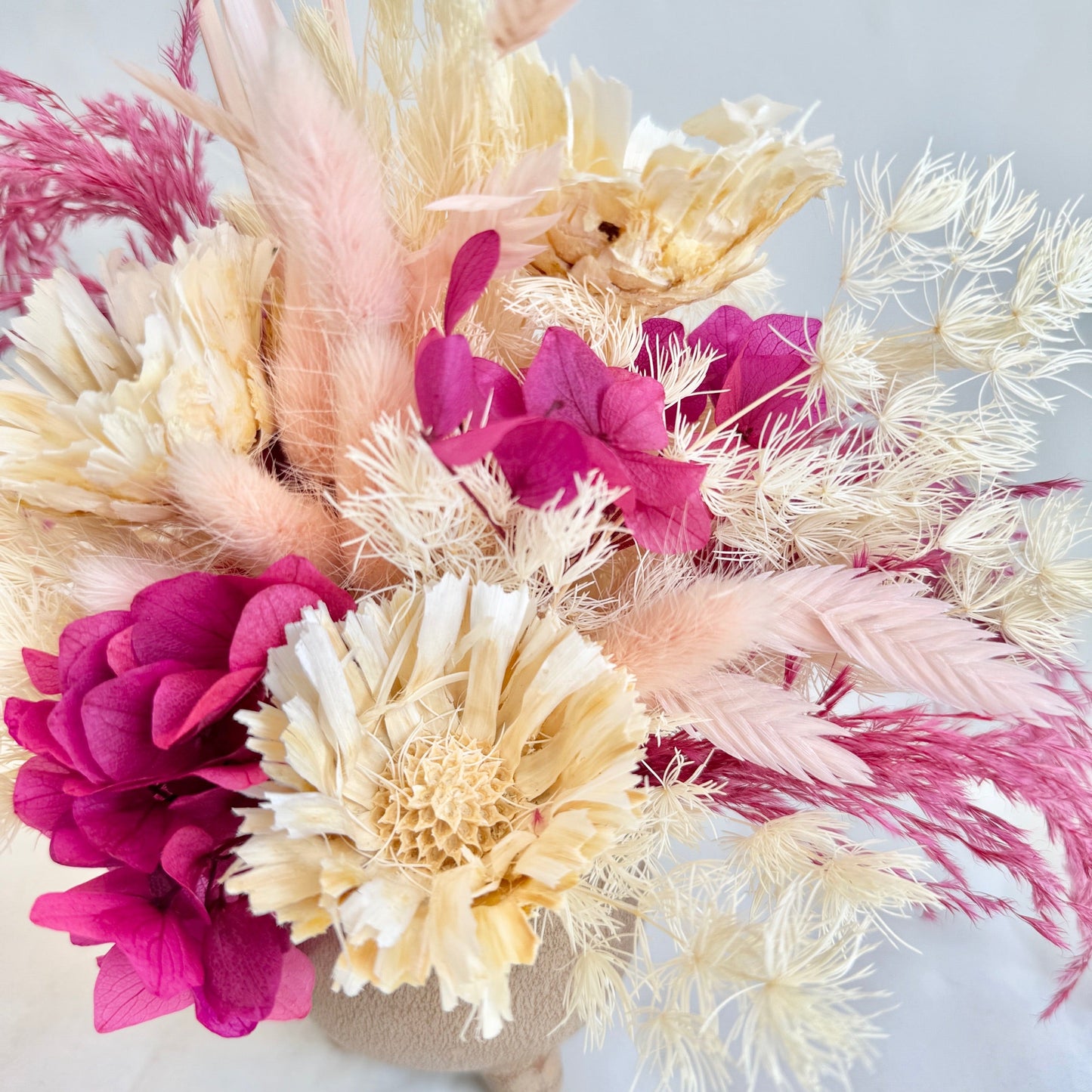 Mini Dried - Delightful Daisies