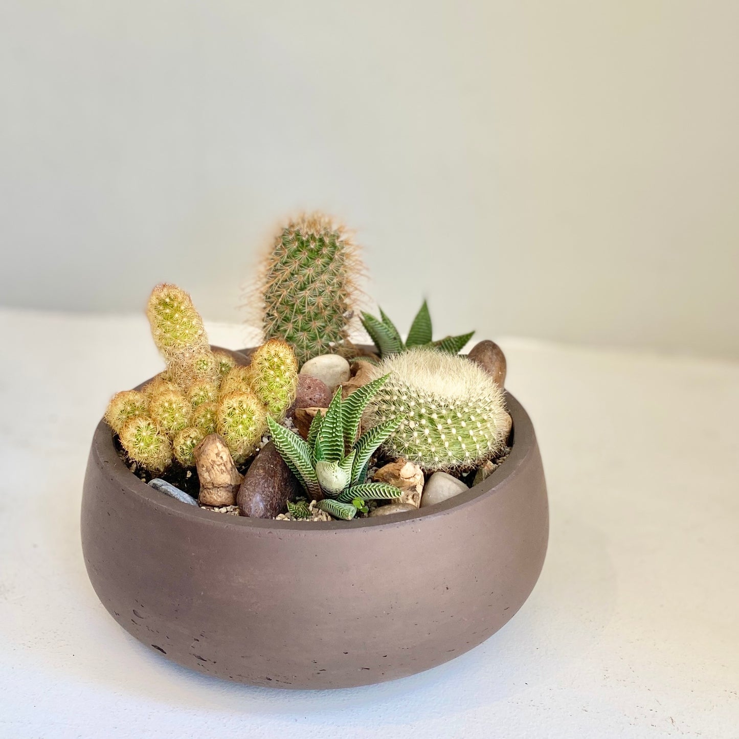 Desert Planter