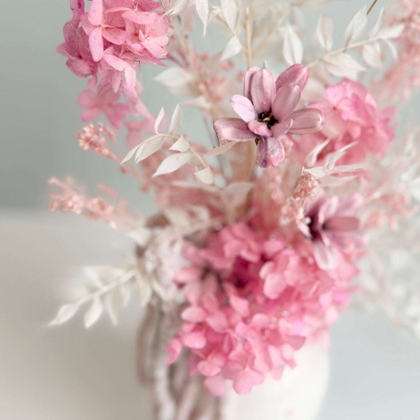 Mini Dried - Bow-tiful in Pink