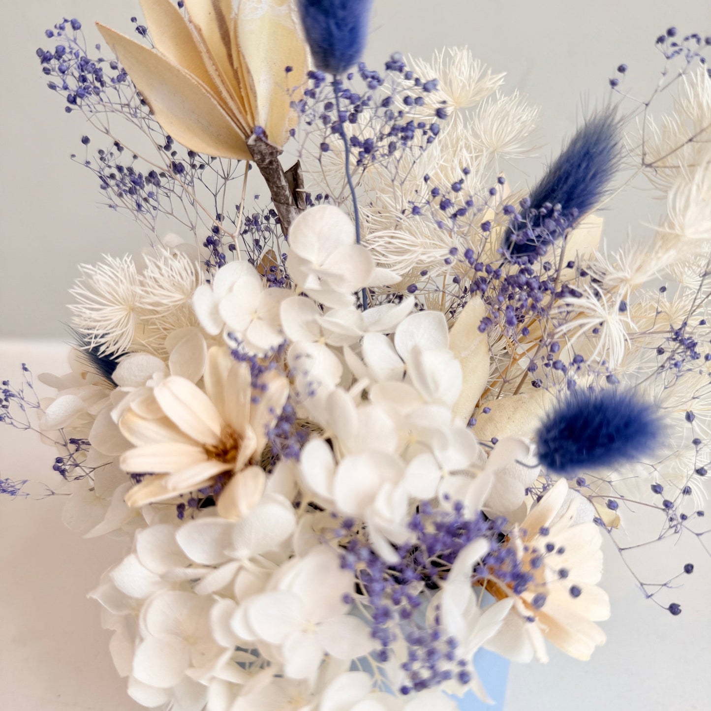 Mini Dried - Porcelain Dreams