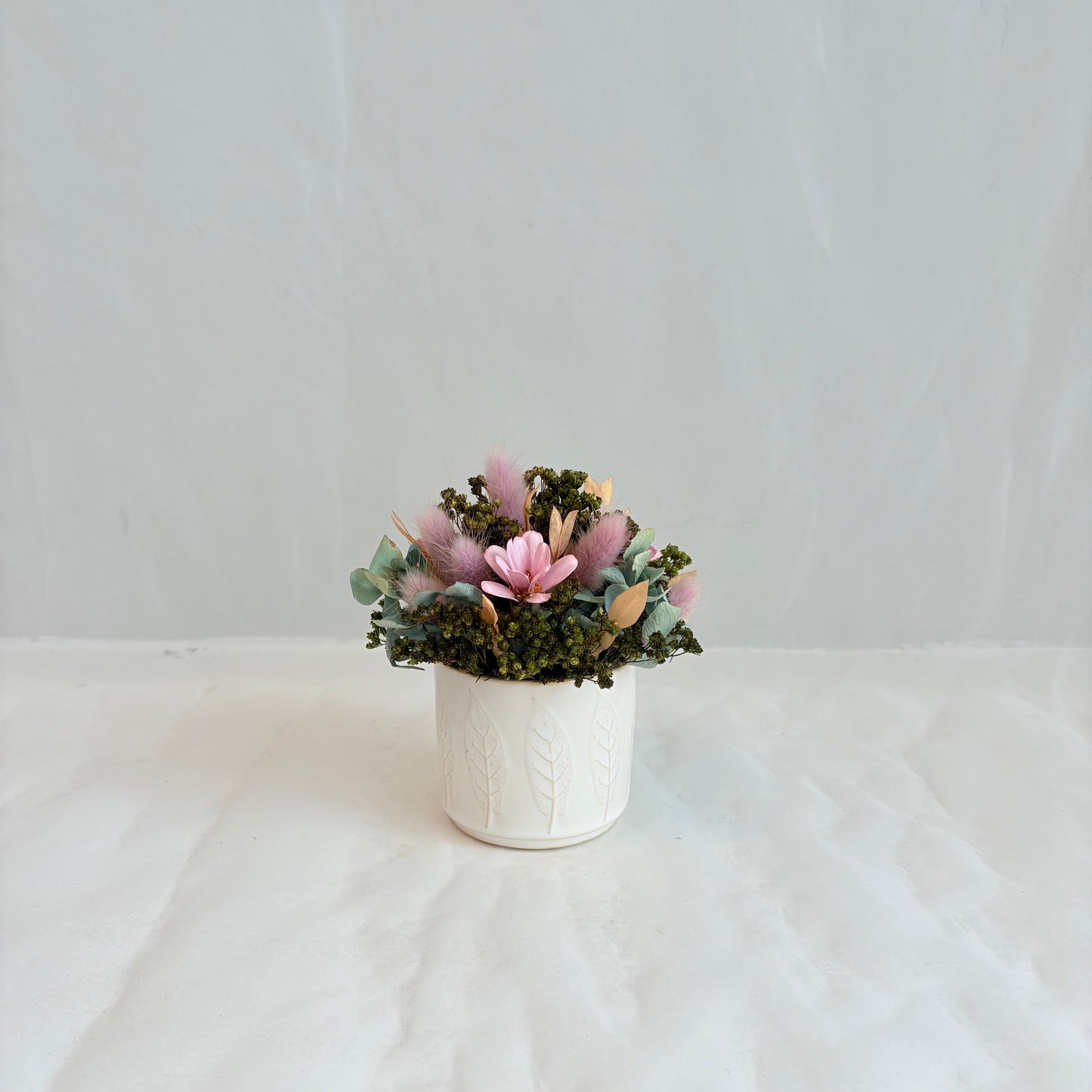 Mini Dried - Fairy Garden