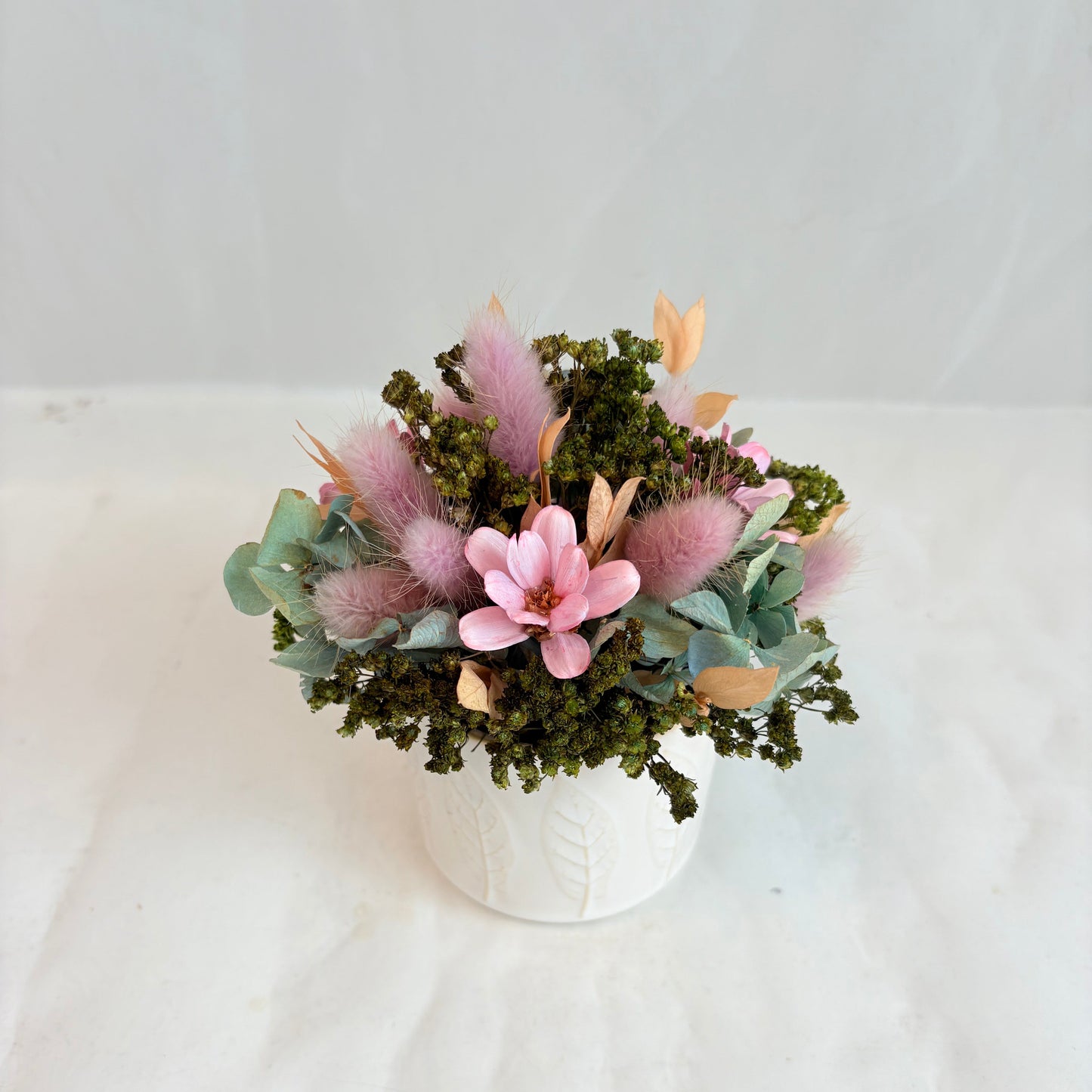 Mini Dried - Fairy Garden