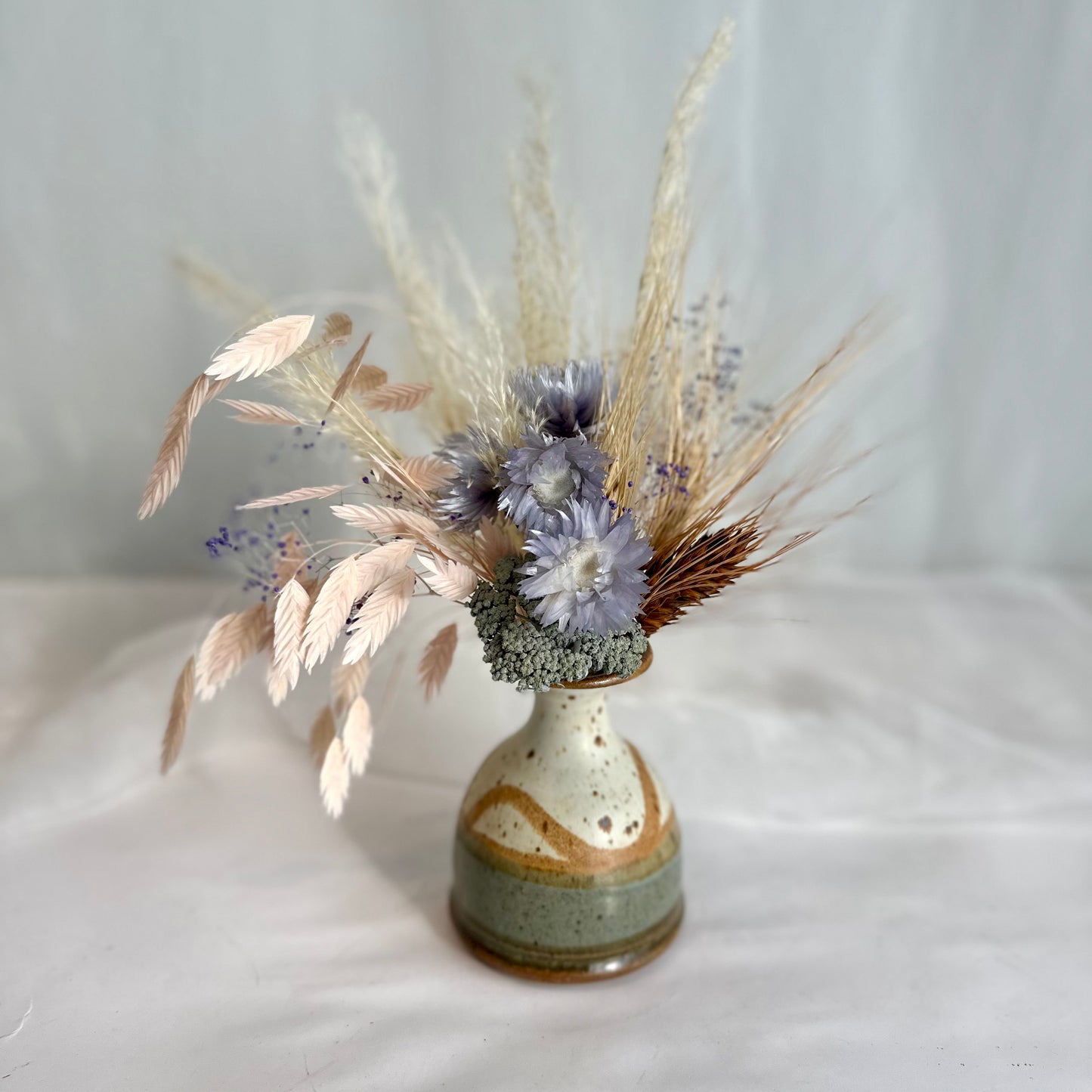 Mini Dried - Precious Pampas