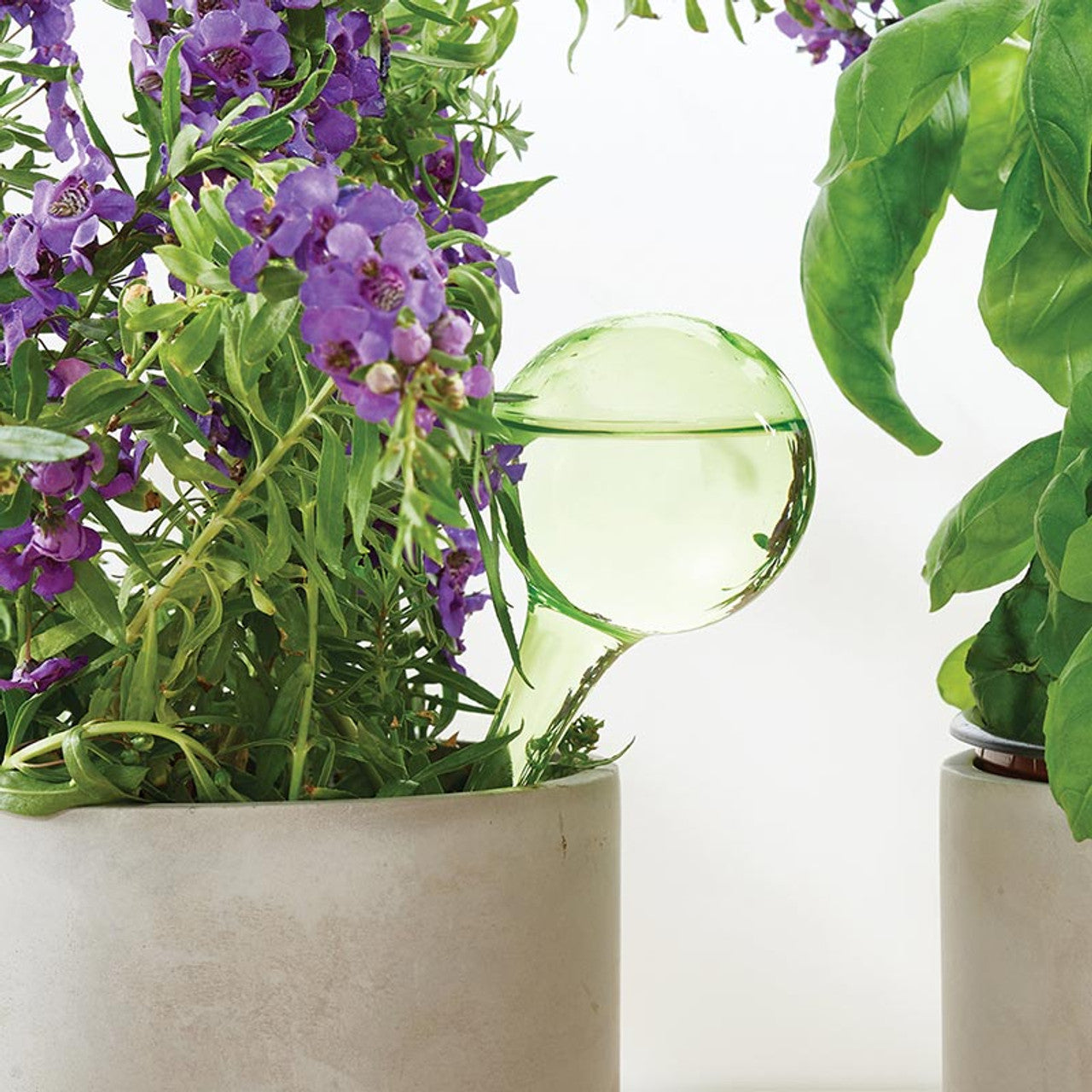Glass Watering Globe