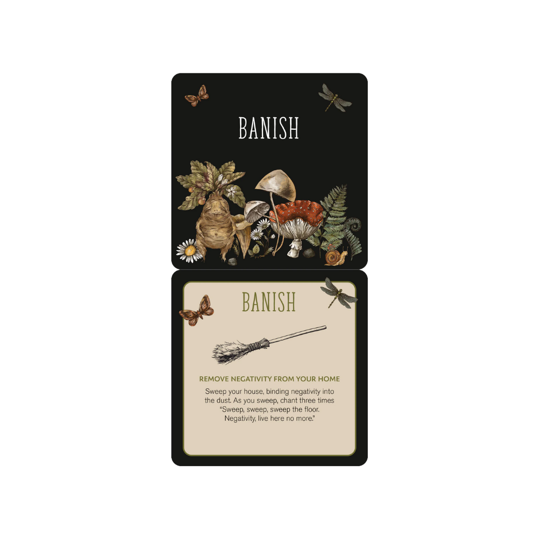 Everyday Spells Insight Cards