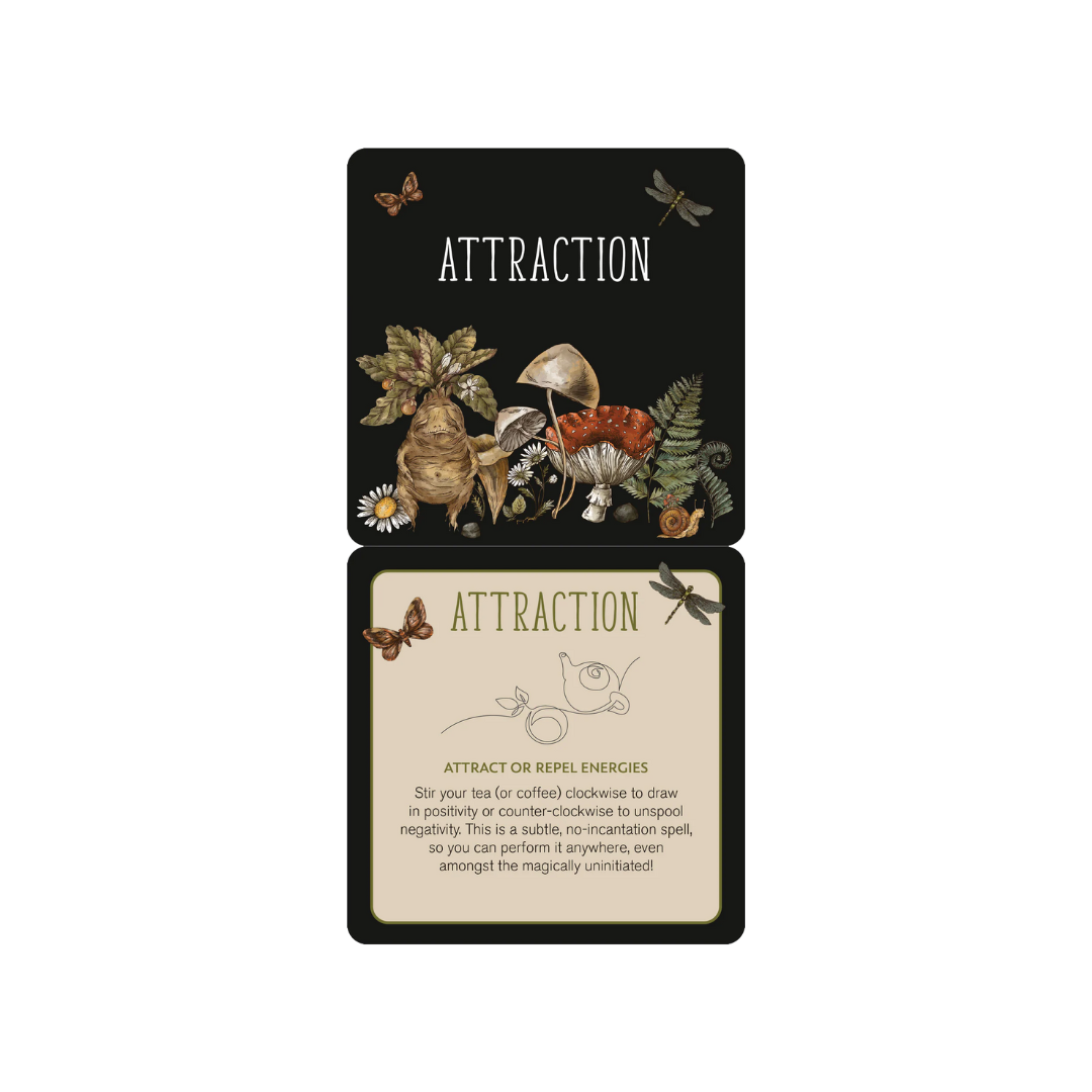 Everyday Spells Insight Cards