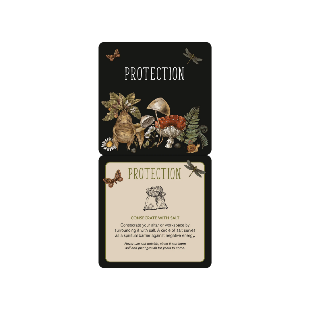 Everyday Spells Insight Cards