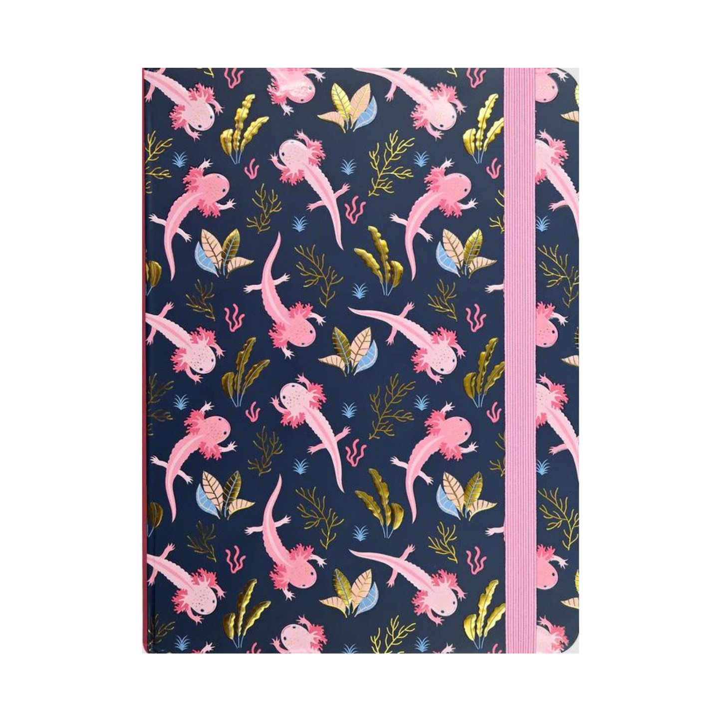 Large Journals