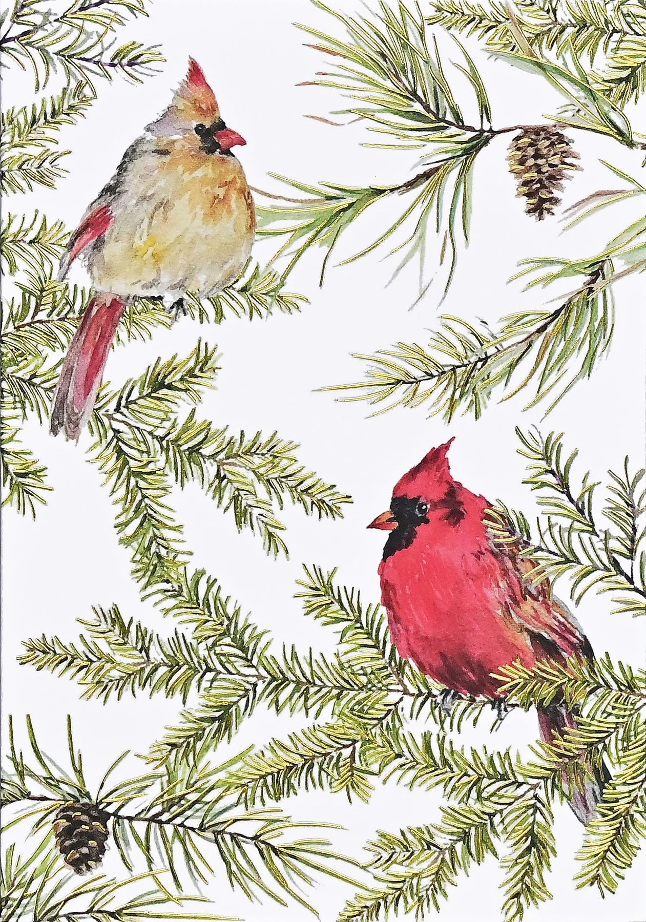 Boxed Holiday Cards