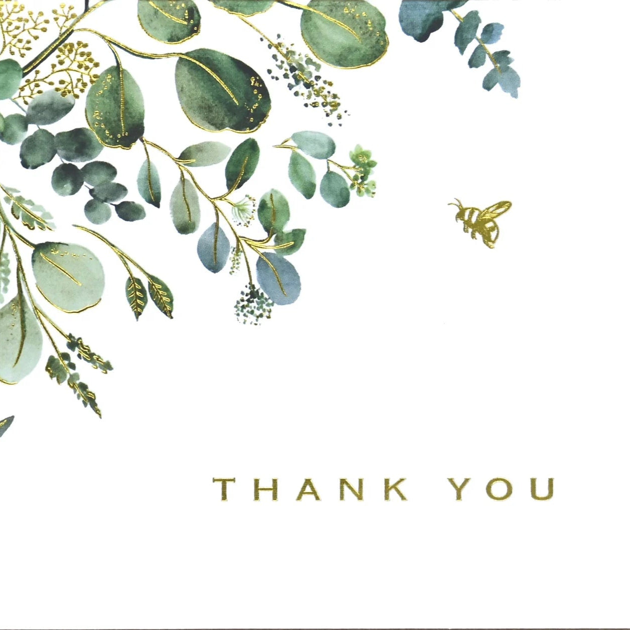 Boxed Thank You Greeting Cards