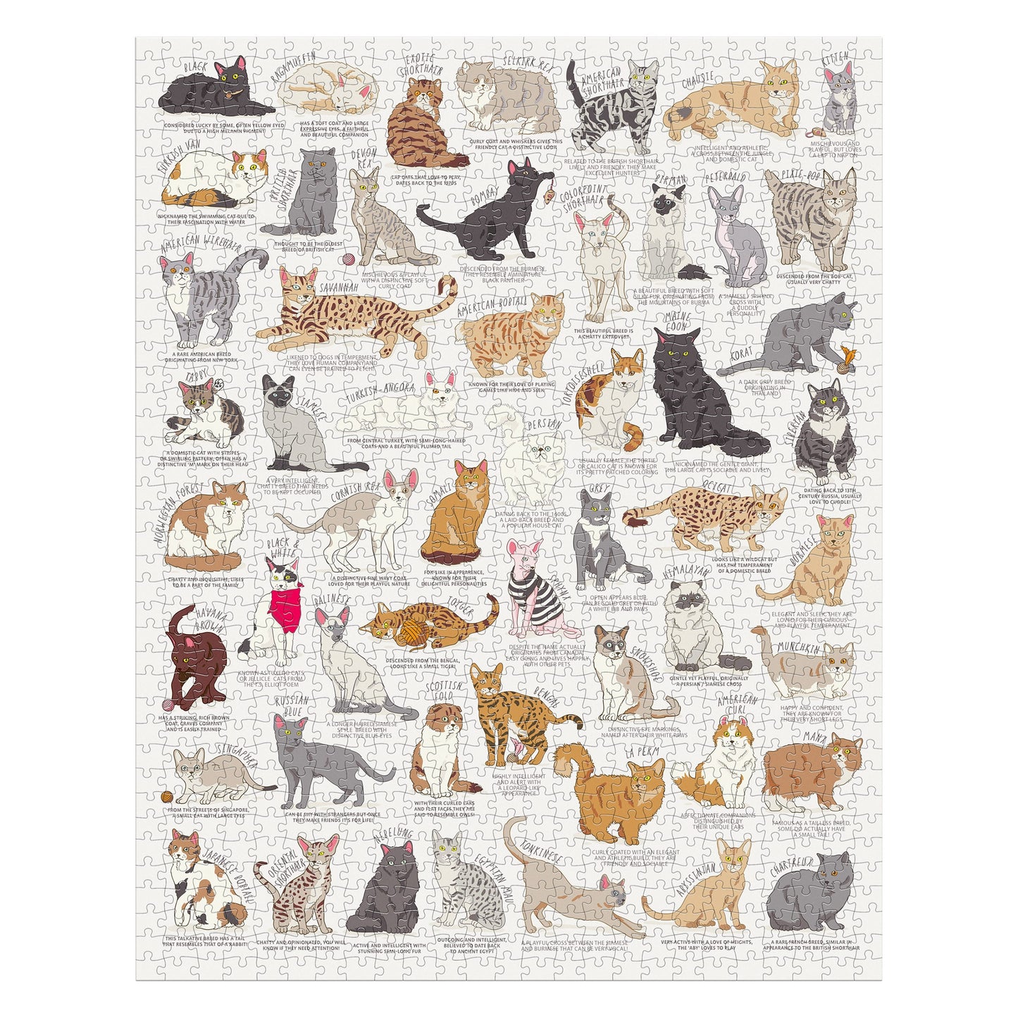 Cat Lover's 1000-Piece Puzzle
