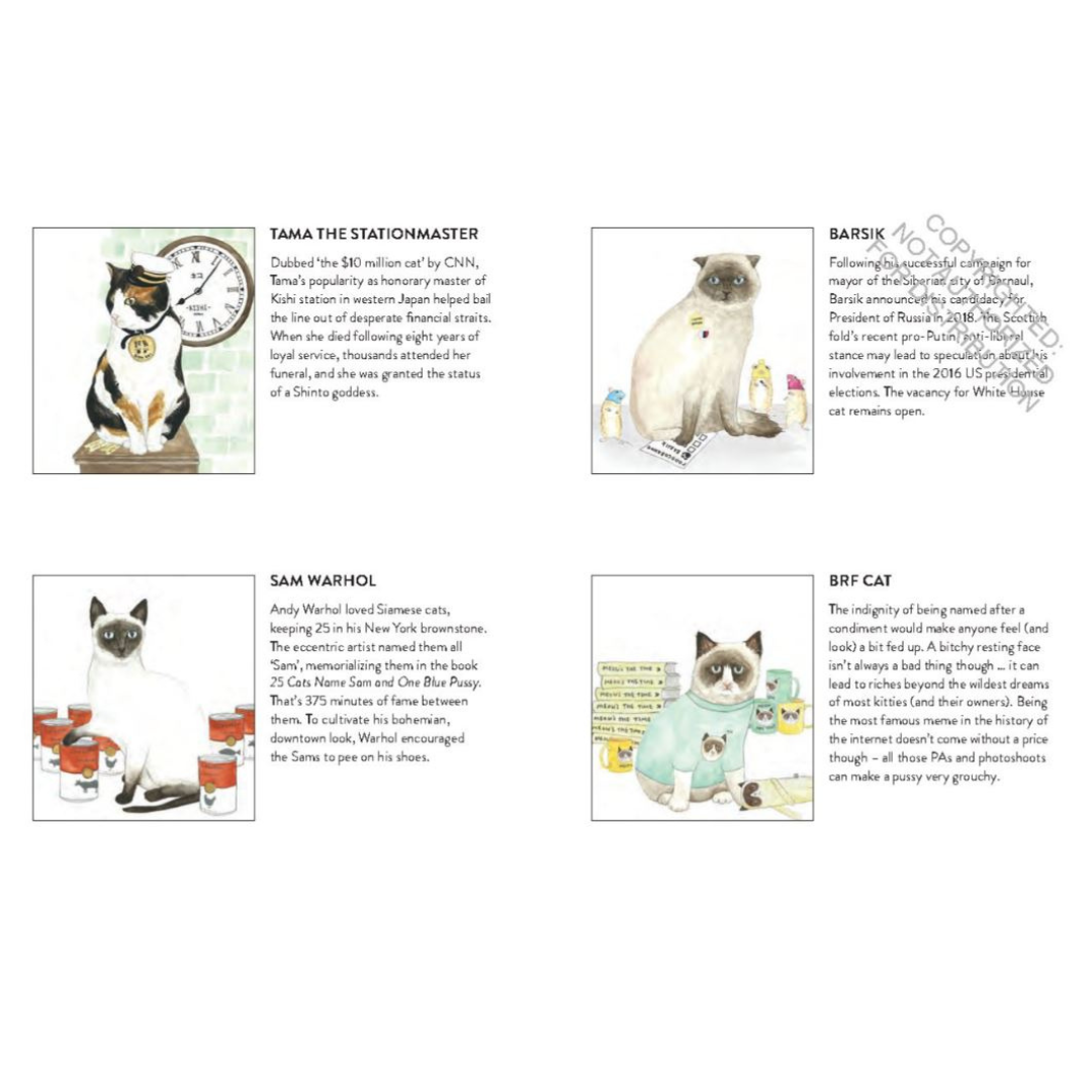 Cat Gurus Advice Cards