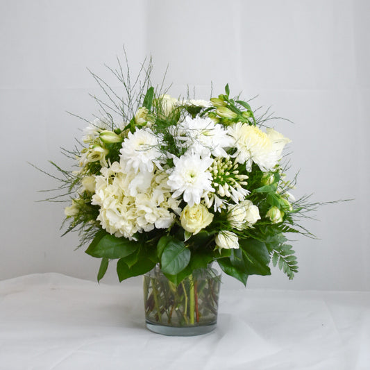 Grand Collection - Classic Signature