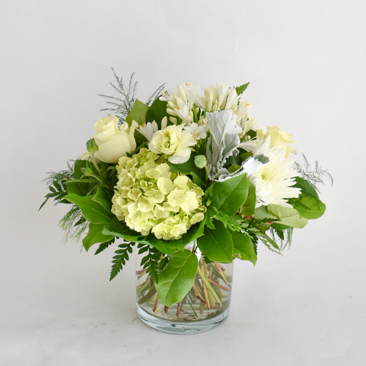 Signature Collection - Classic