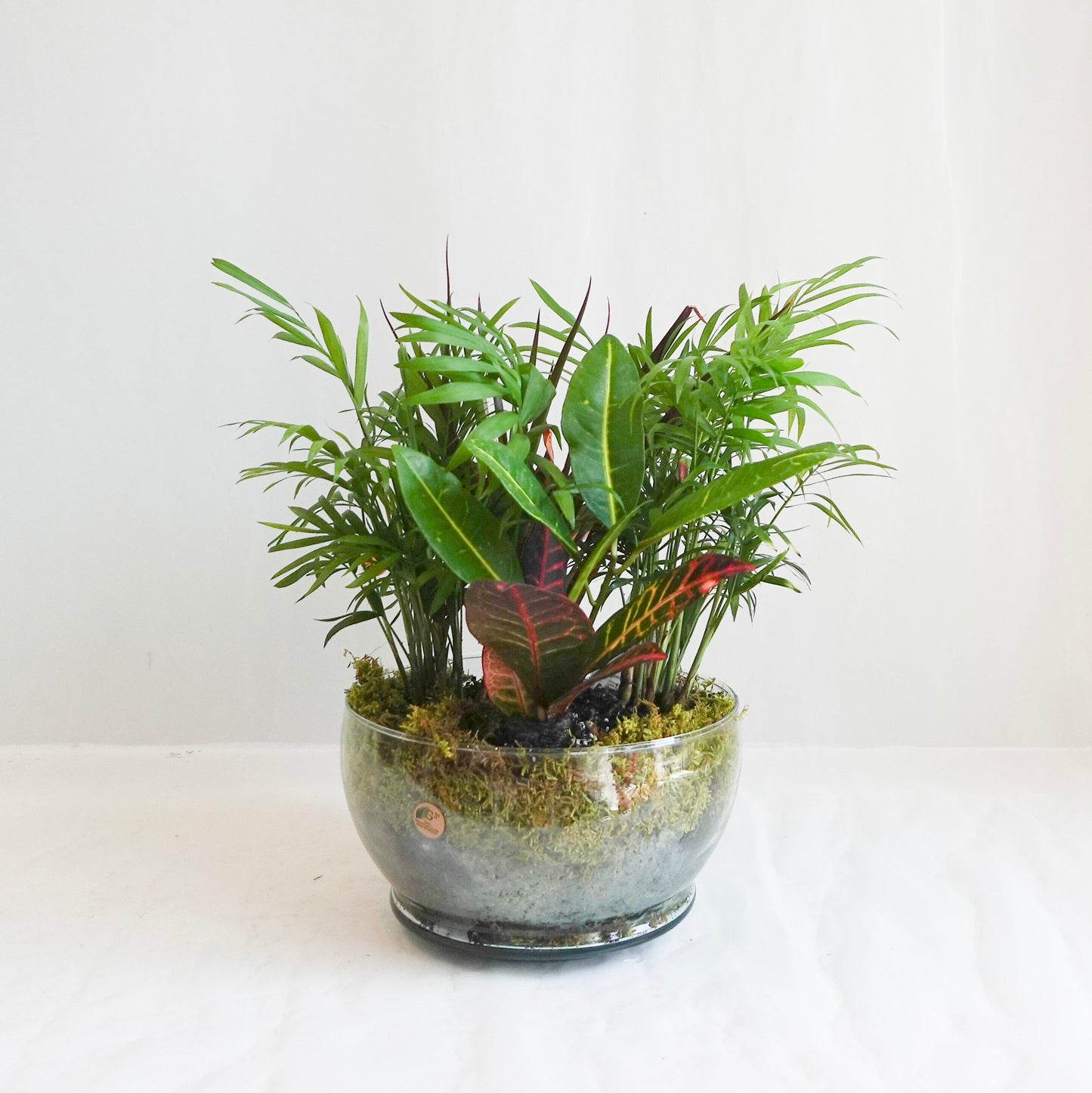 Mixed Planter