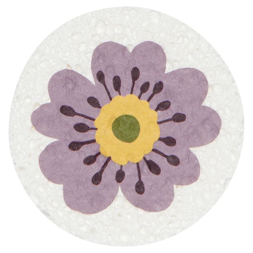 Compostable Sponges
