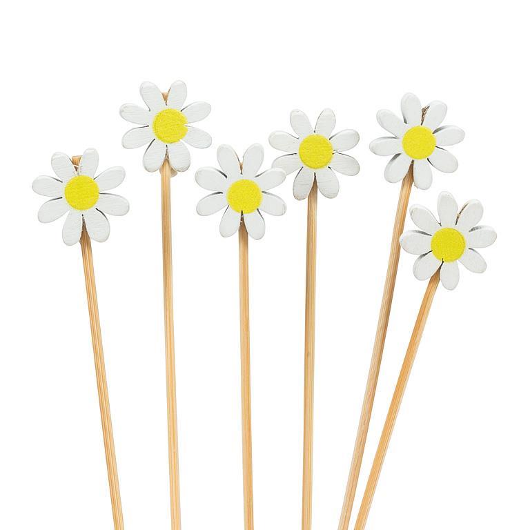 Daisy Party Picks