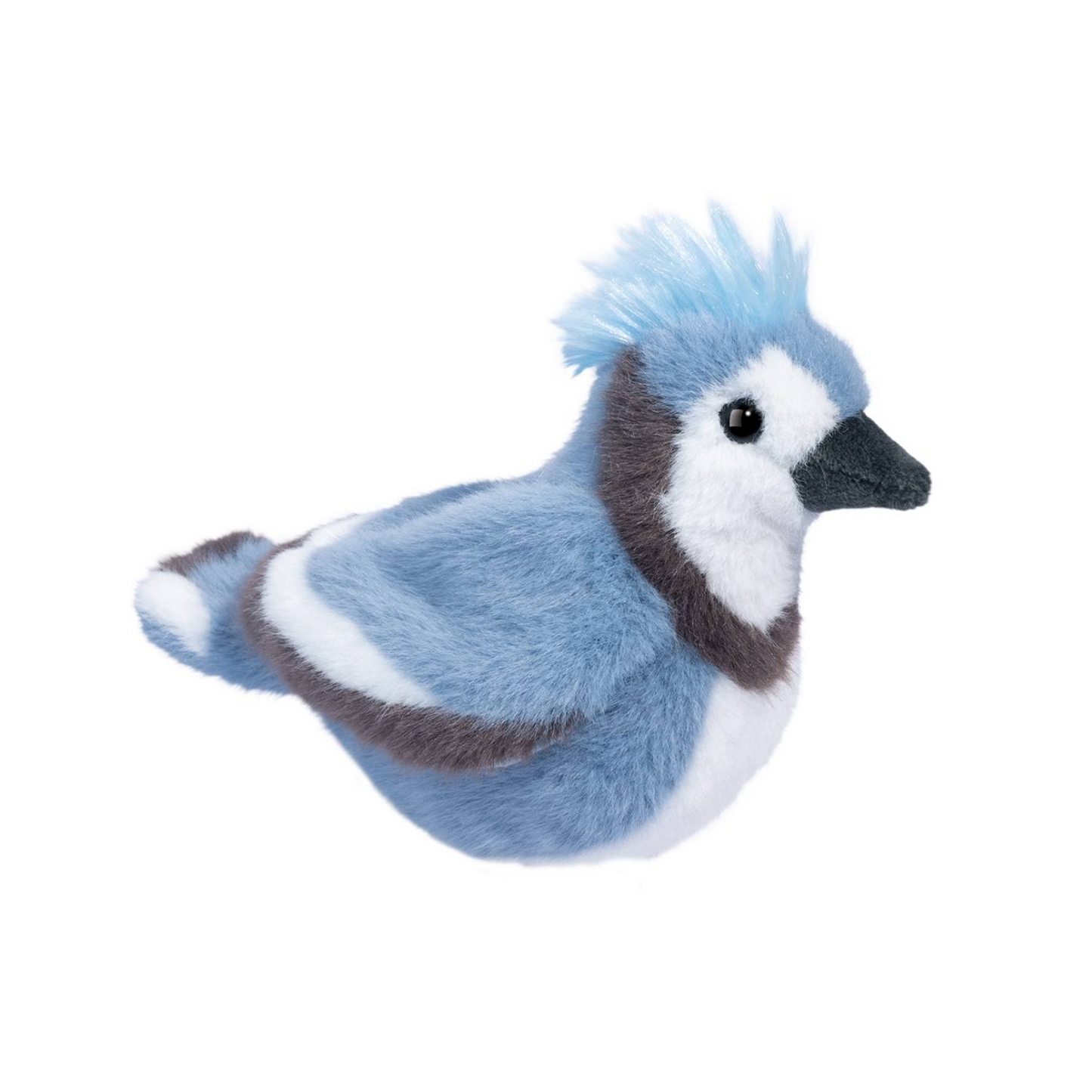 Denim Blue Jay