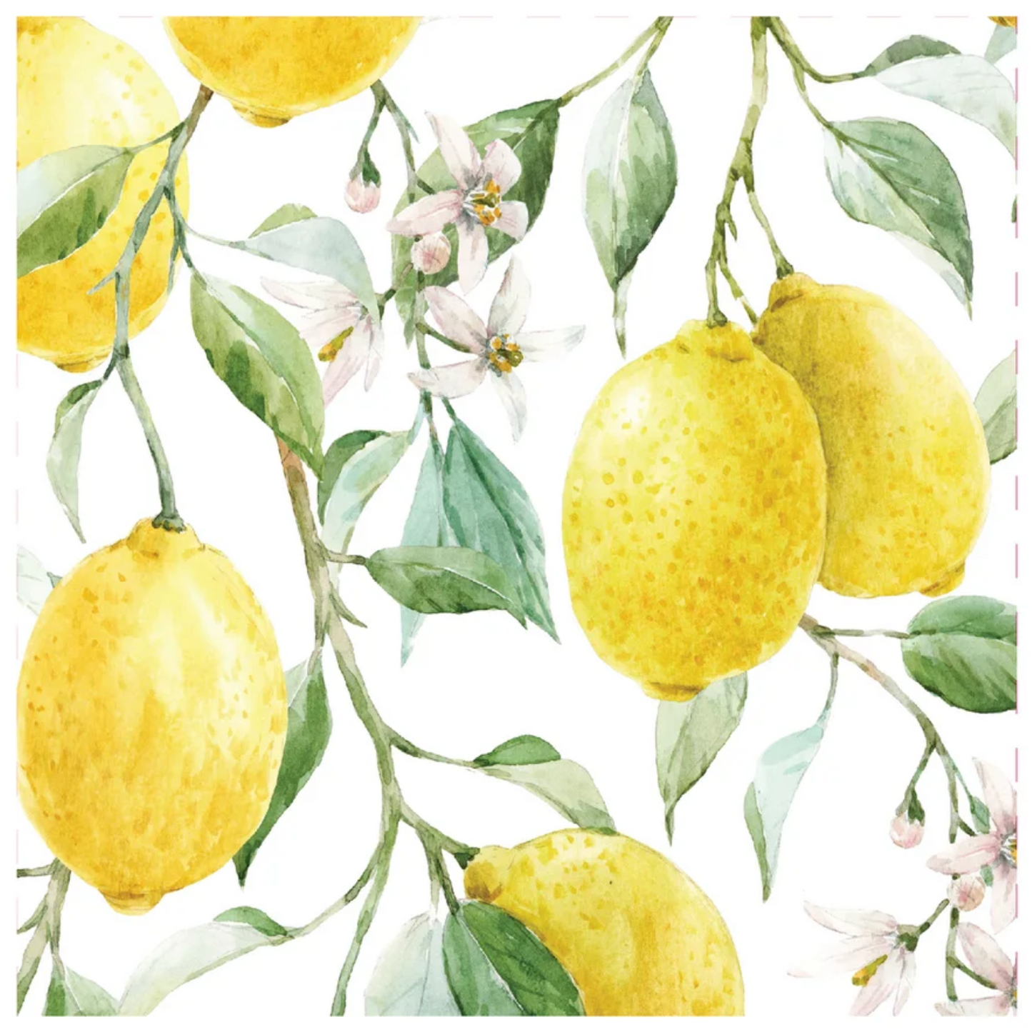 Bright & Botanical Paper Napkins