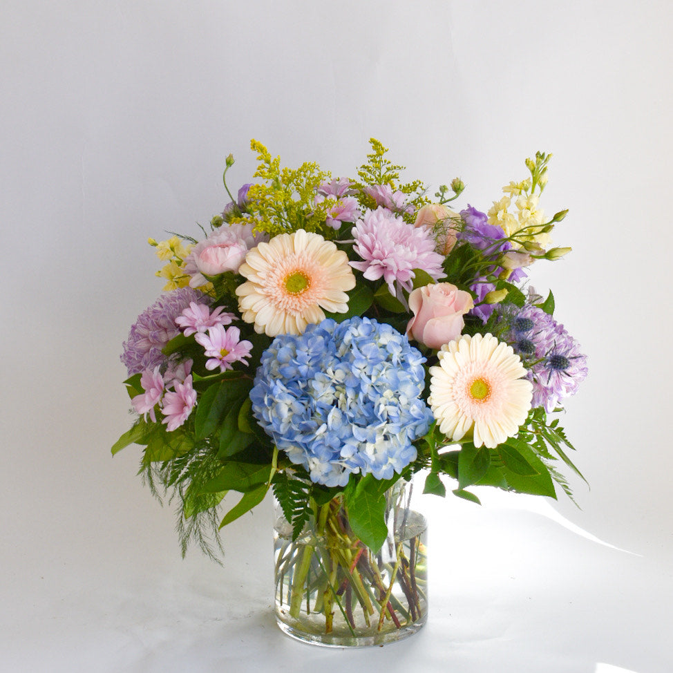 Grand Collection - Pastel Signature