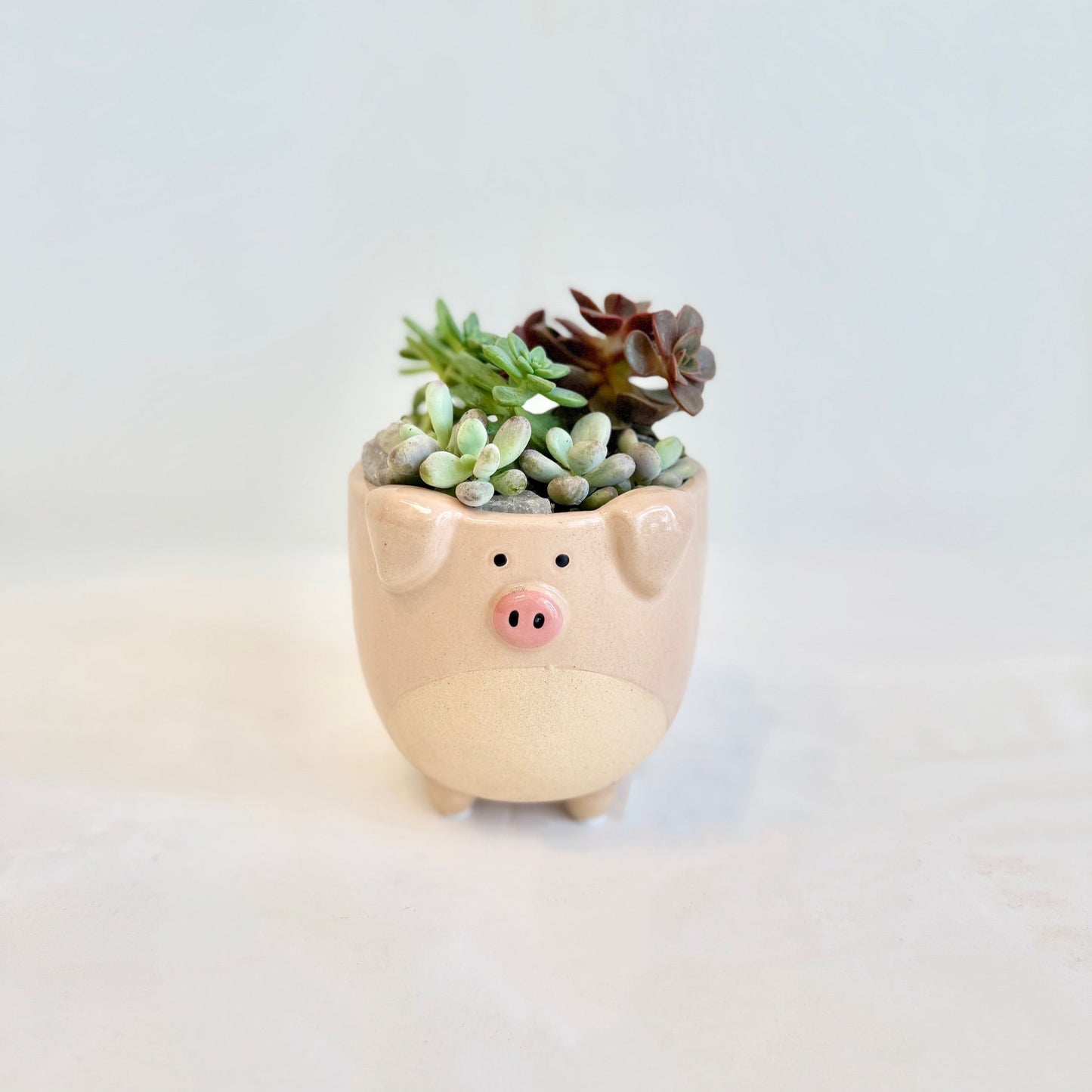 Peppa's Planter