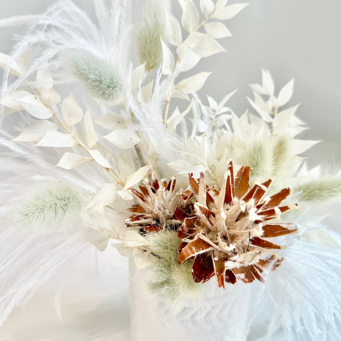 Mini Dried - Featherlight