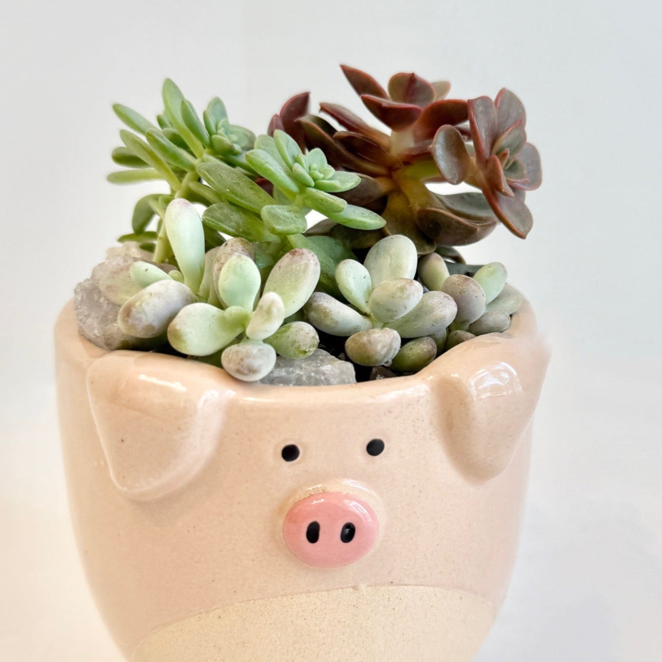 Peppa's Planter