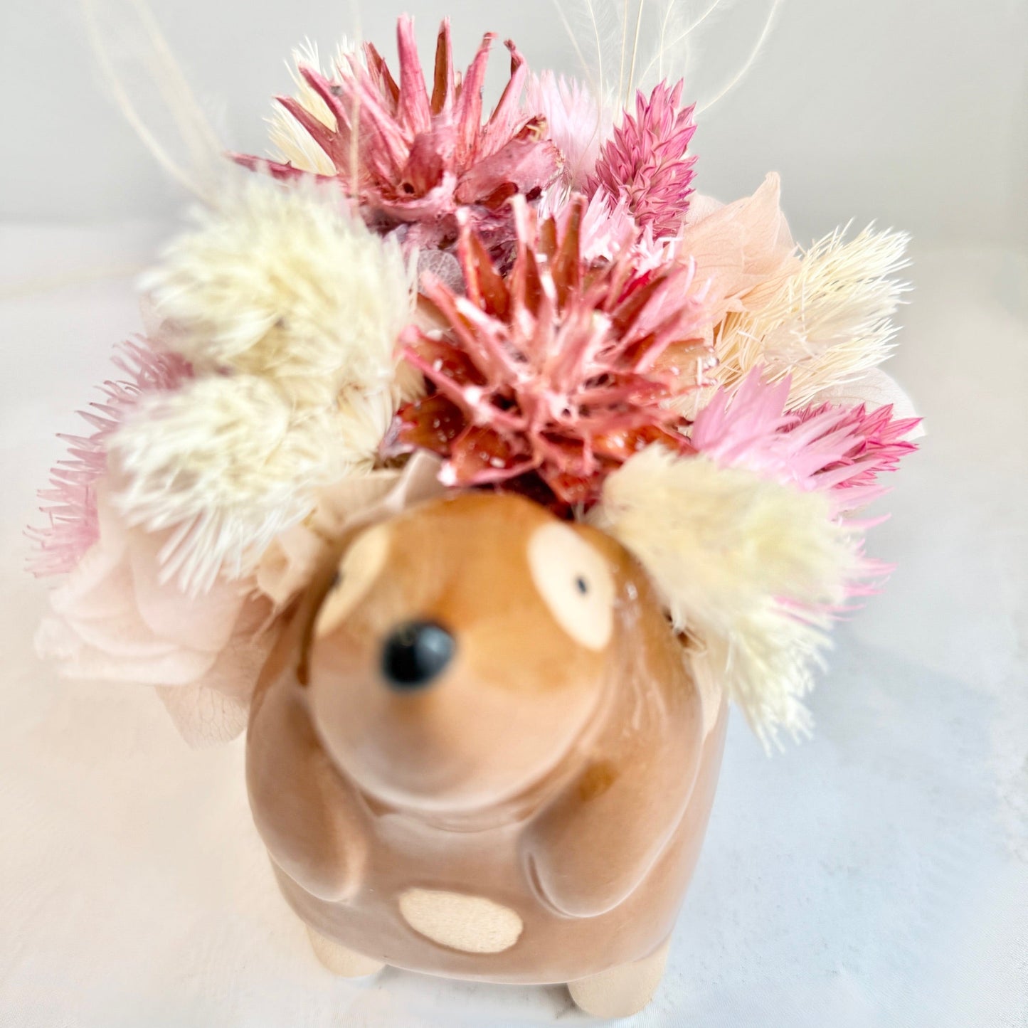 Mini Dried - Rosy Pup