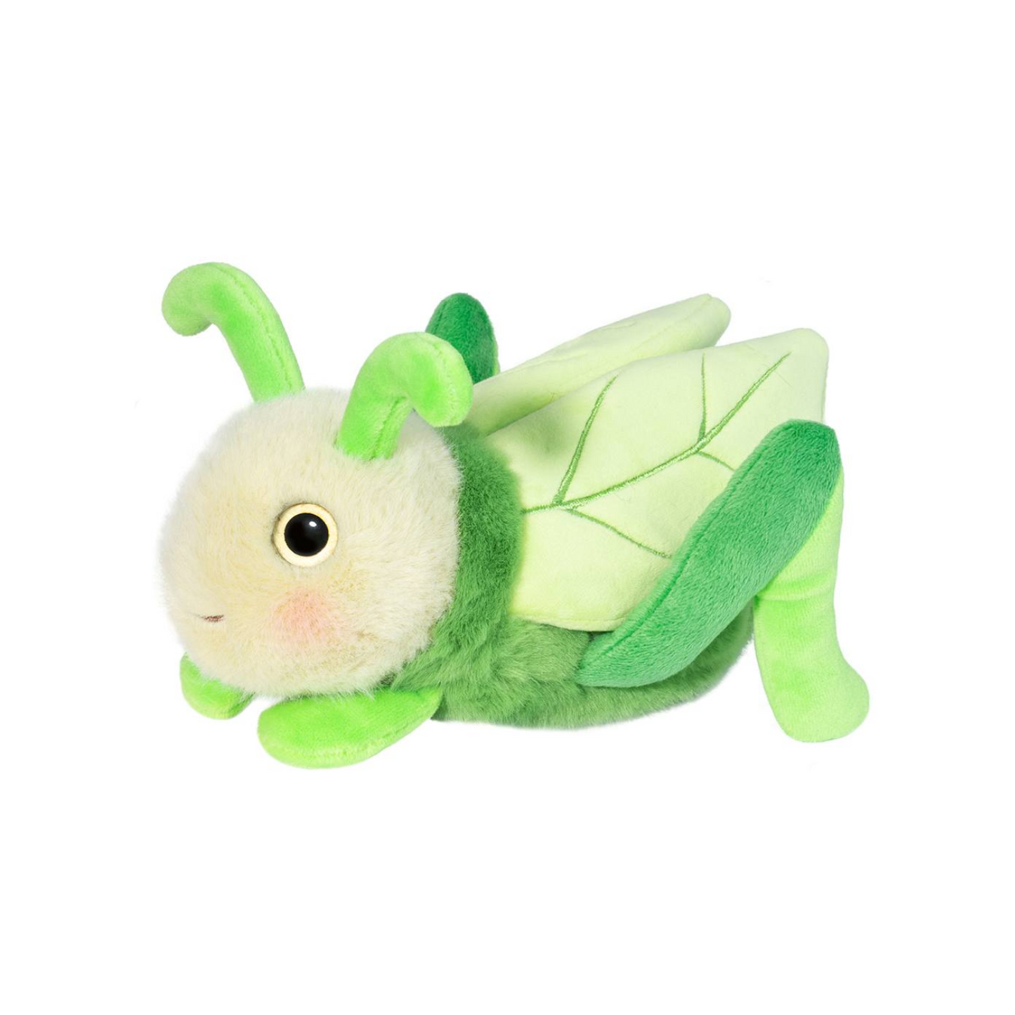 Kady Grasshopper