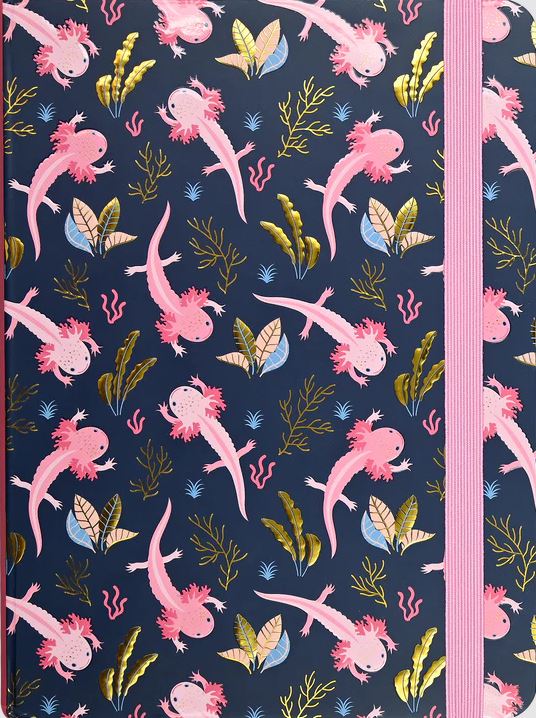 Large Journals