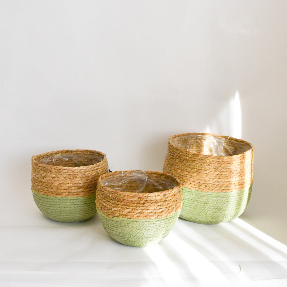 Lined Woven Baskets - Green Accent