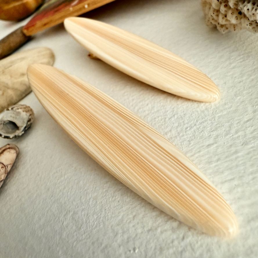 Longboard Duckbill Hairclips - Set of 2