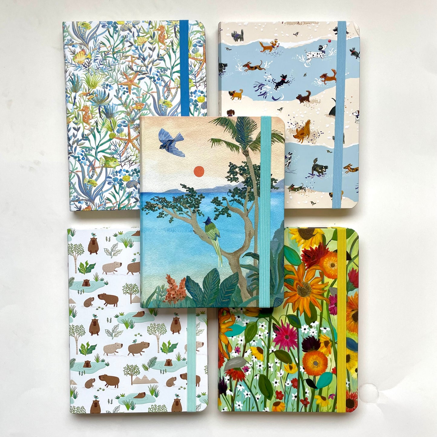 Large Journals