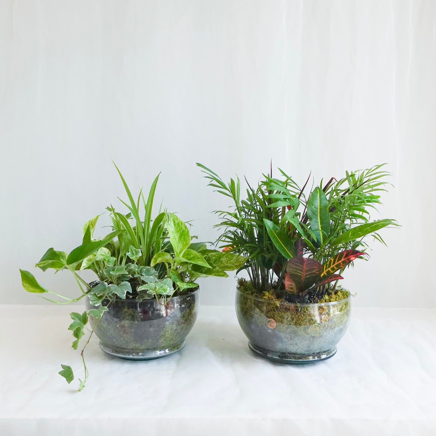 Mixed Planter