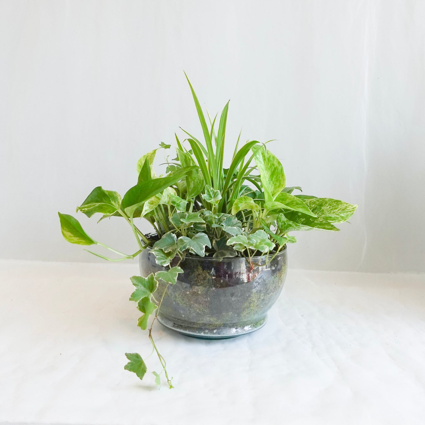 Mixed Planter