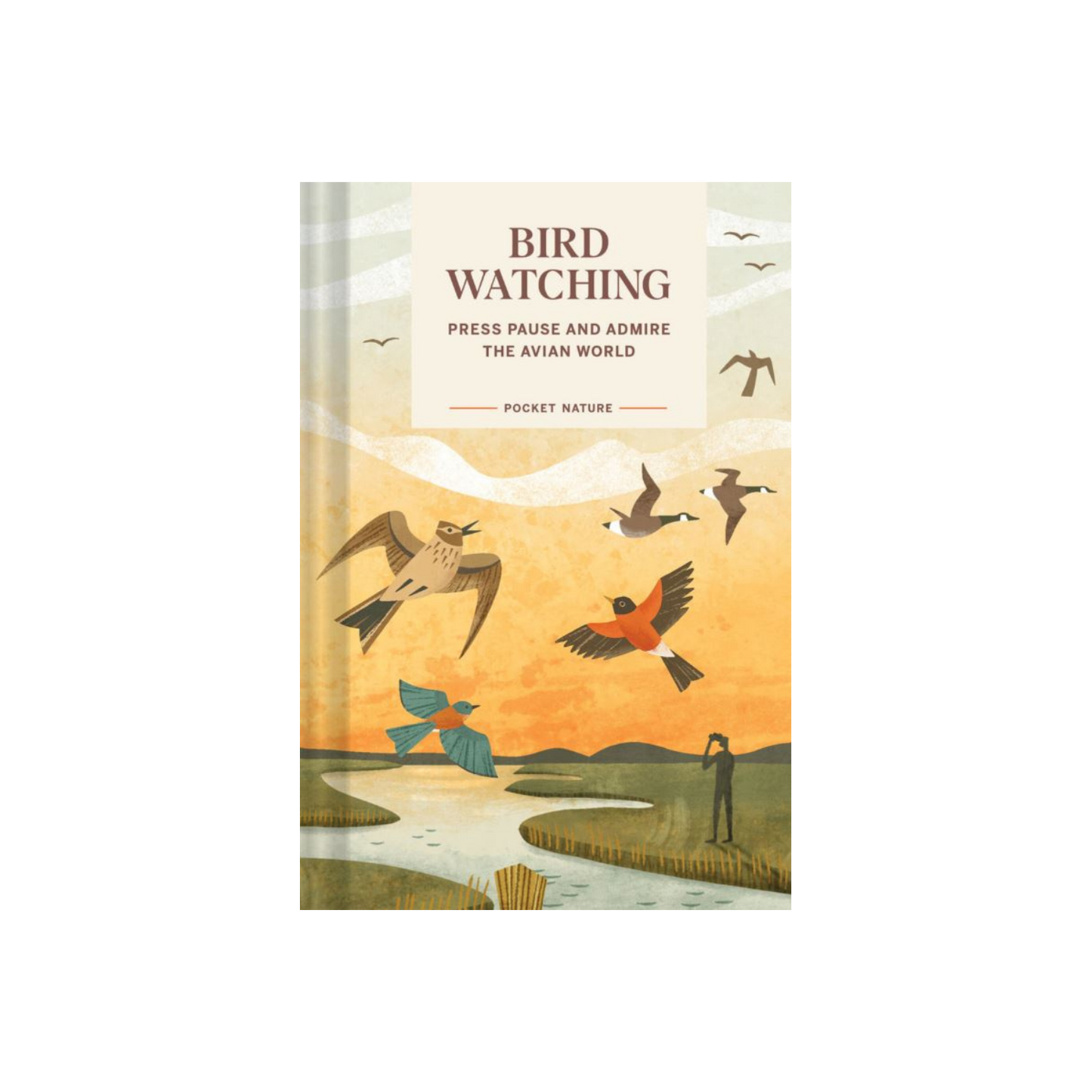 Pocket Nature Series: Birdwatching