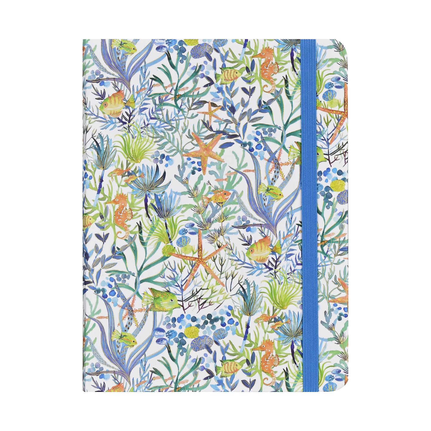 Large Journals