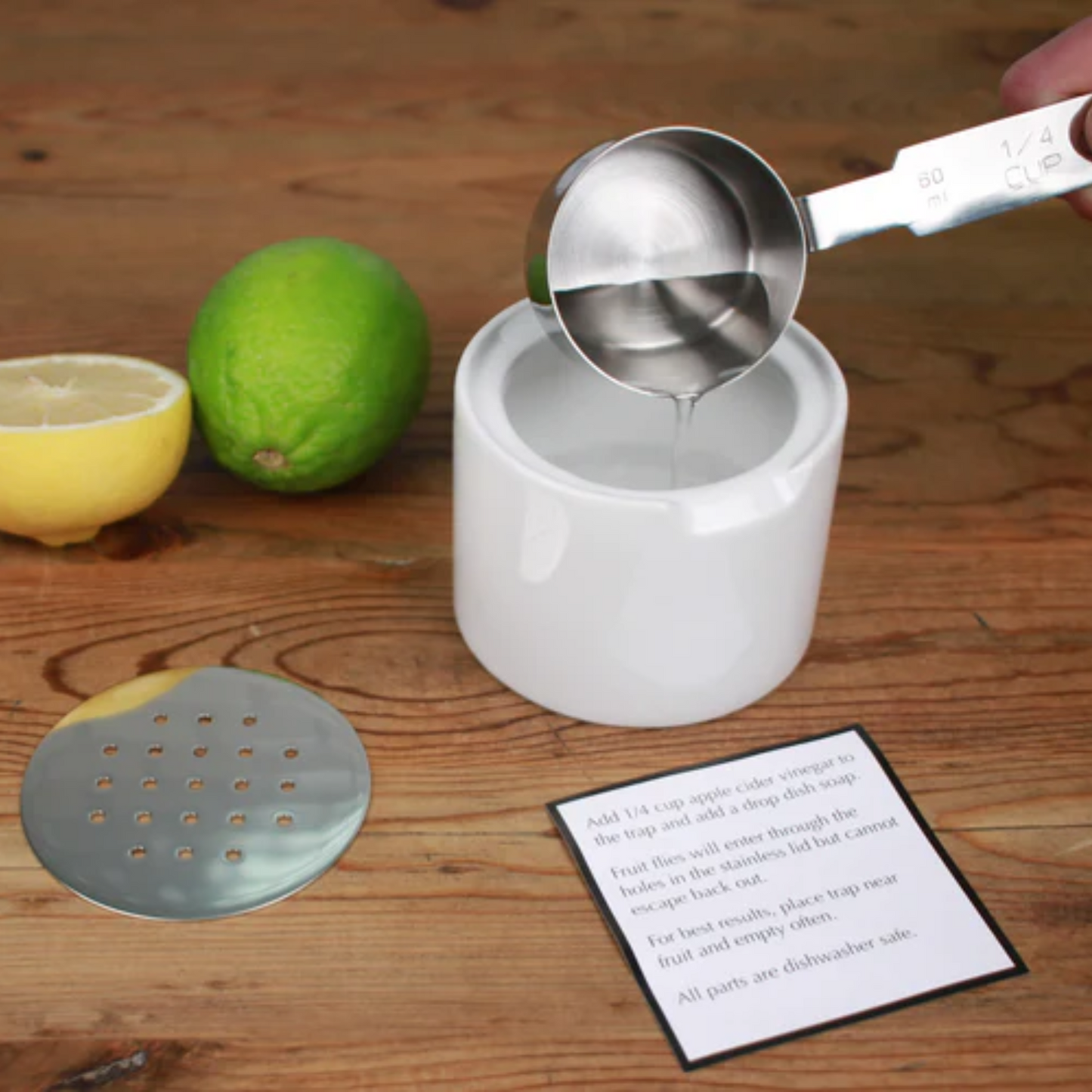 Fruit Fly Trap