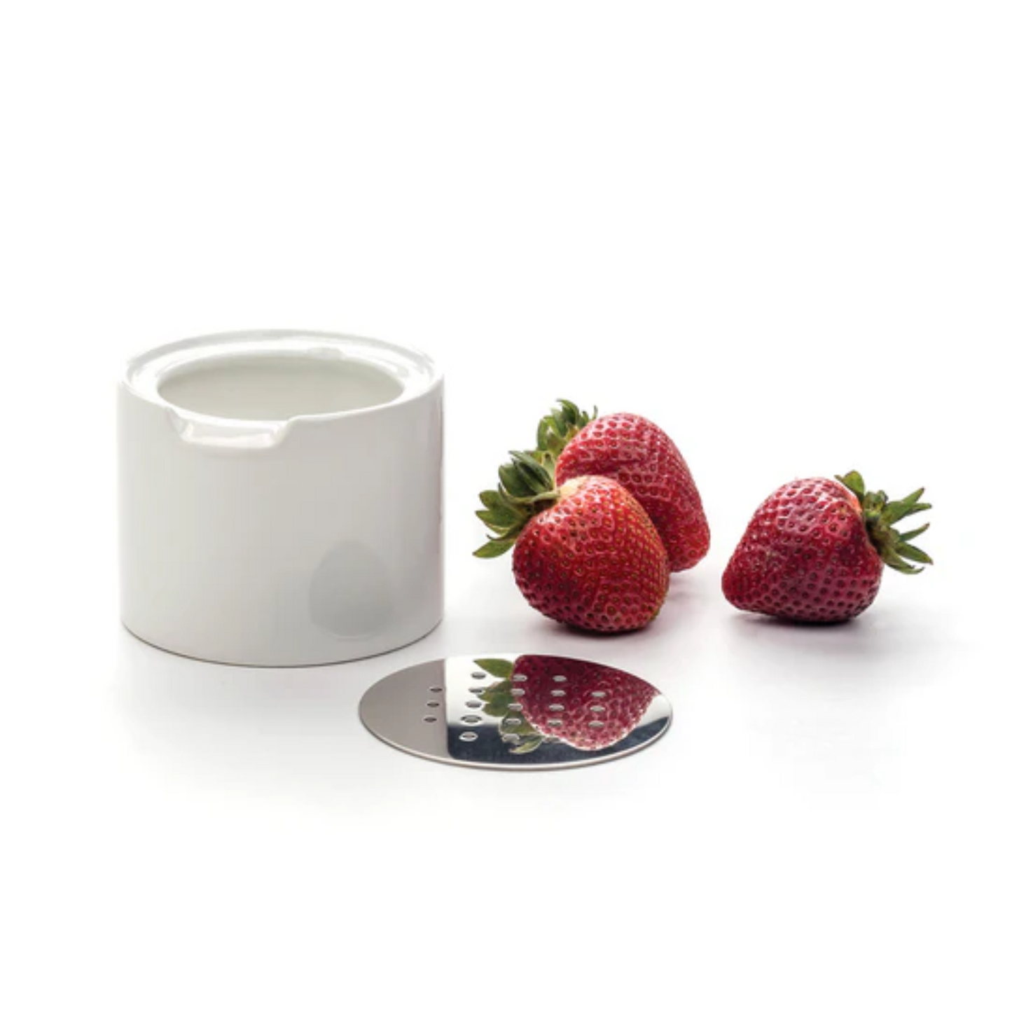 Fruit Fly Trap